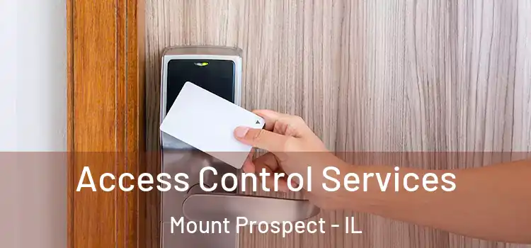 Access Control Services Mount Prospect - IL