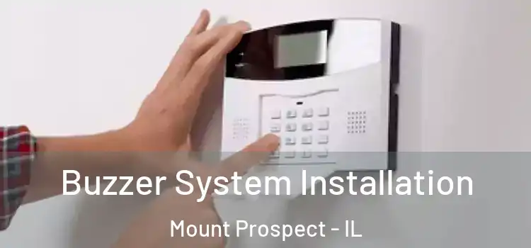 Buzzer System Installation Mount Prospect - IL