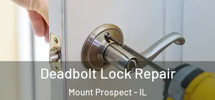 Deadbolt Lock Repair Mount Prospect - IL