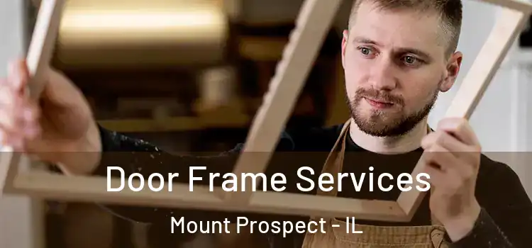Door Frame Services Mount Prospect - IL