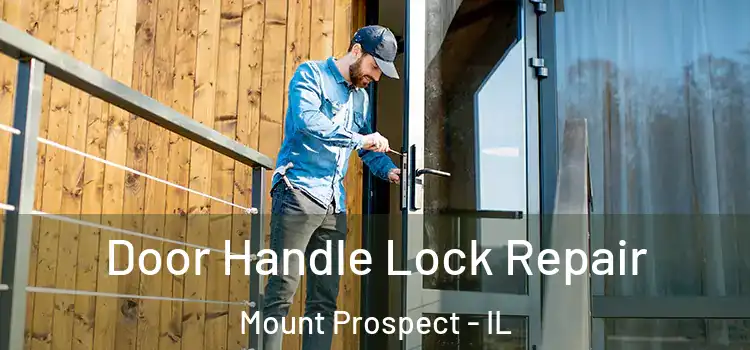 Door Handle Lock Repair Mount Prospect - IL