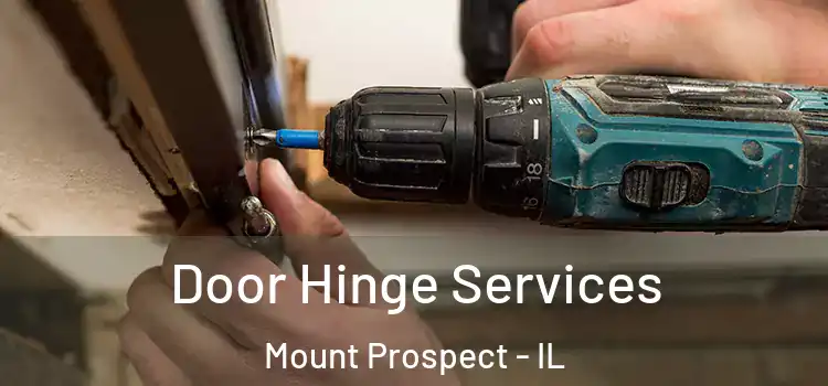 Door Hinge Services Mount Prospect - IL