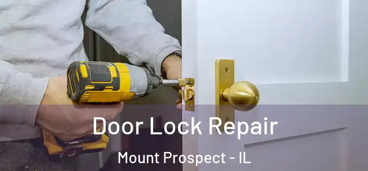 Door Lock Repair Mount Prospect - IL