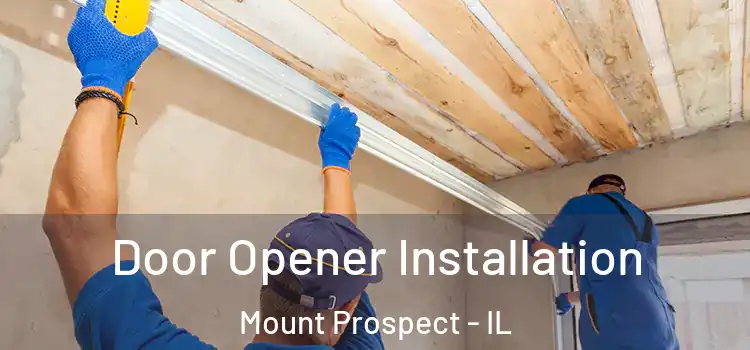 Door Opener Installation Mount Prospect - IL
