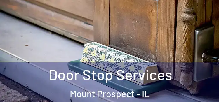 Door Stop Services Mount Prospect - IL