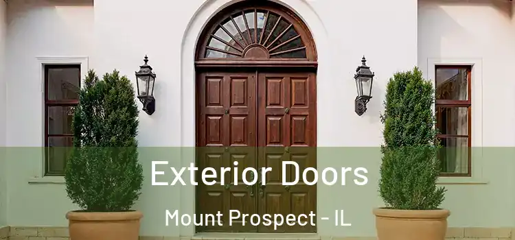 Exterior Doors Mount Prospect - IL