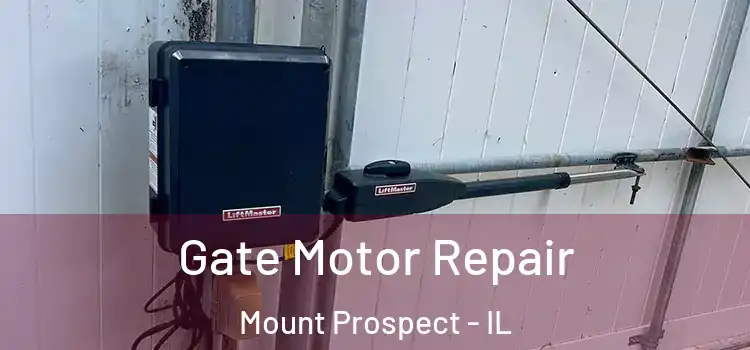 Gate Motor Repair Mount Prospect - IL
