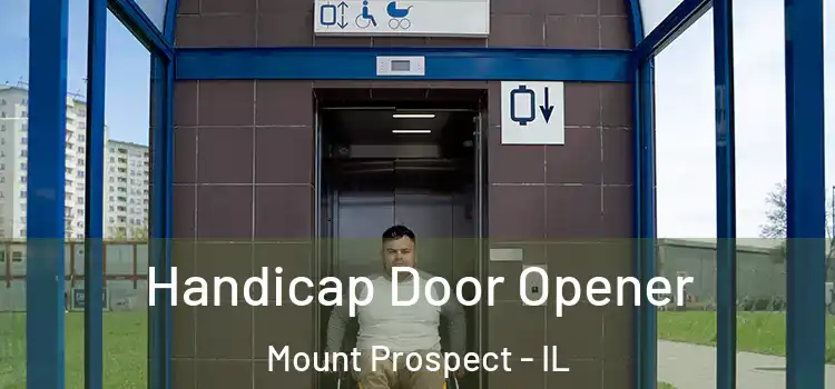 Handicap Door Opener Mount Prospect - IL