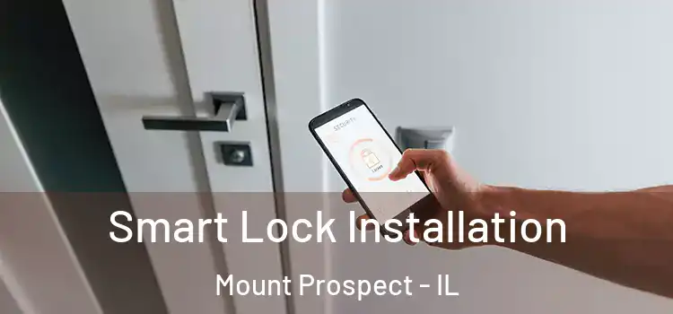 Smart Lock Installation Mount Prospect - IL