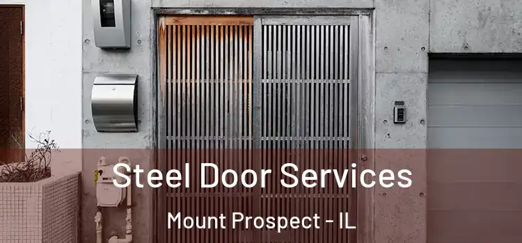 Steel Door Services Mount Prospect - IL