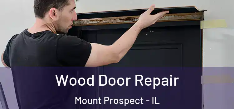 Wood Door Repair Mount Prospect - IL
